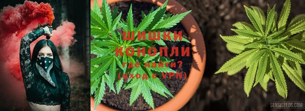 марихуана Иннополис