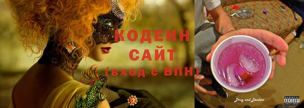 СК Каменногорск