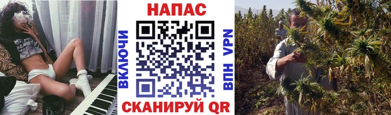 Купить закладки  Яранск  МАРИХУАНА White Widow 